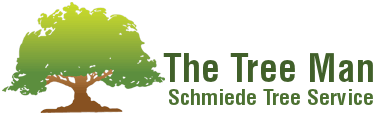 Schmiede Tree Service